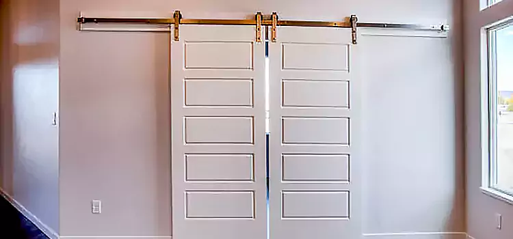 Glass Barn Door with Installation Hardware Kit Rogers