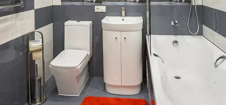 Hansgrohe Shaving Mirror Rogers